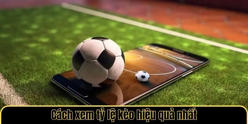 Cách xem tỷ lệ kèo hiệu quả nhất