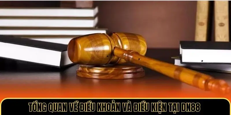 Tầm quan trọng của điều khoản và điều kiện tại DN88