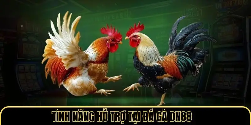 Tính năng hỗ trợ tại đá gà DN88